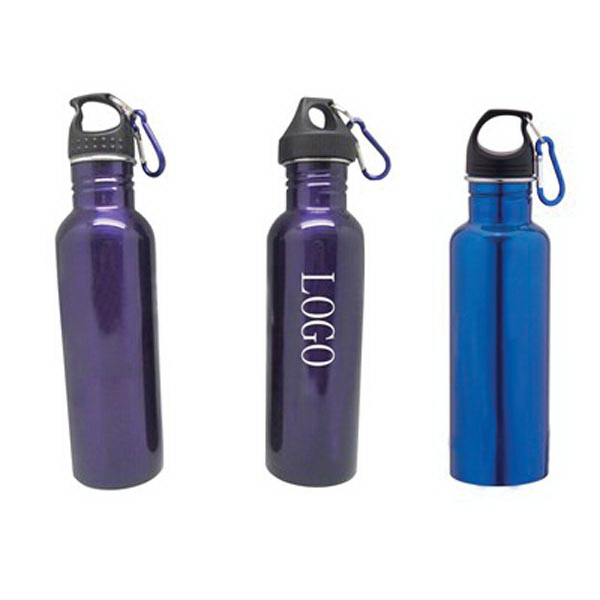 Classic Stainless Steel Custom Sports Water Bottle With Carabiner 25oz