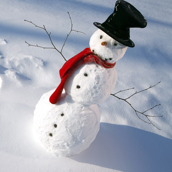 Perfect Snowman Decorating Kit-13 Pieces Entire Family Fun Sturdy Prongs