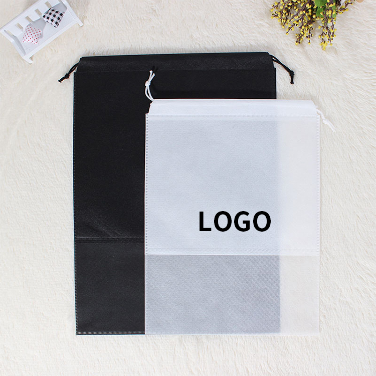 Transparent Shoe Storage Bag