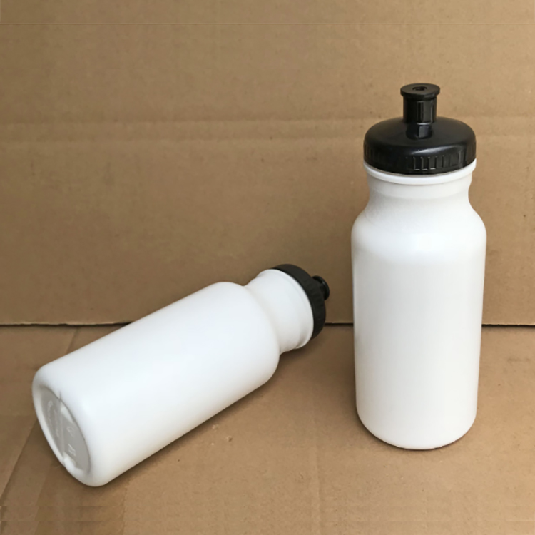 20 oz Sport Bottle with Push Pull Lid