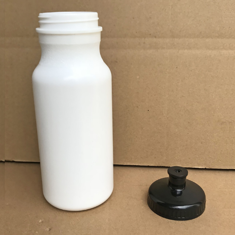 20 oz Sport Bottle with Push Pull Lid