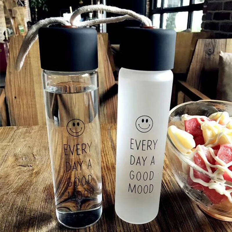 Glass Water Bottles with Airtight Screw Top Lids Portable Carrying Loop